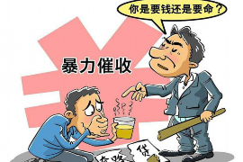 银狐系统的催收方式：揭秘高效债务回收的秘密武器