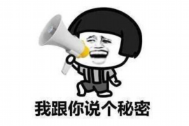 伊犁清数公司：揭秘新疆地区领先的数字化解决方案提供商